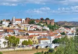 silves
